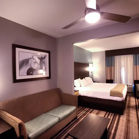 Holiday Inn Express & Suites Amarillo West By Ihg-2