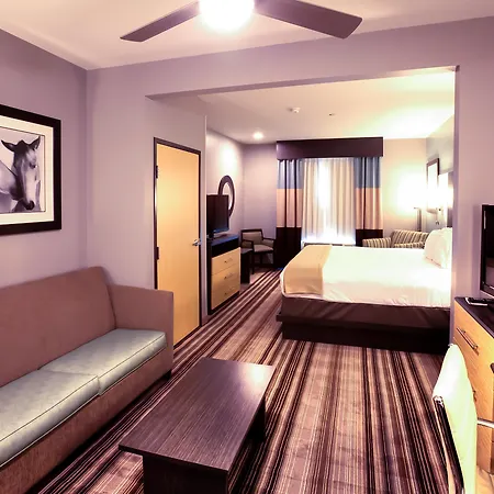 Holiday Inn Express & Suites Amarillo West By Ihg-3